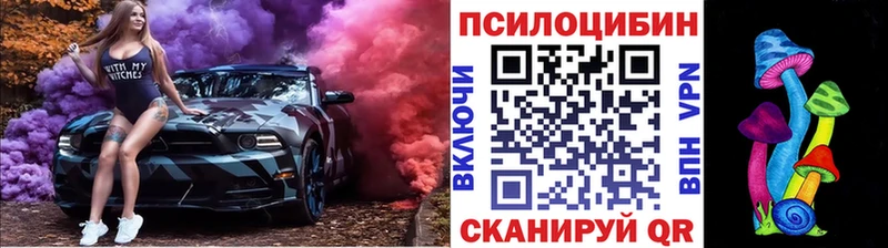Псилоцибиновые грибы Cubensis  Купить где  Красавино 